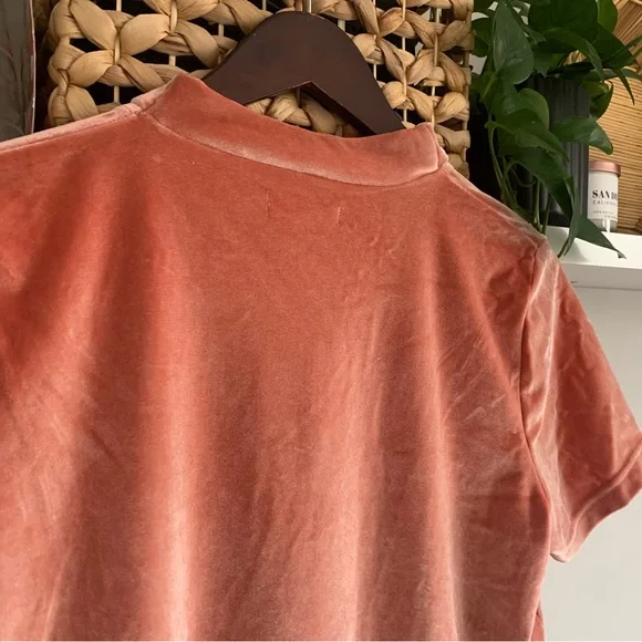 • [Madewell] Velvet Tie Neck Top • - Picture 10 of 10